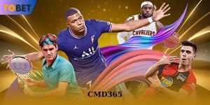 CMD365