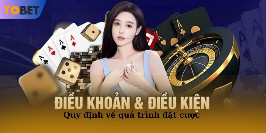 Hội viên phải đáp ứng toàn bộ quy định về quá trình đặt cược mà nhà cái ban hành