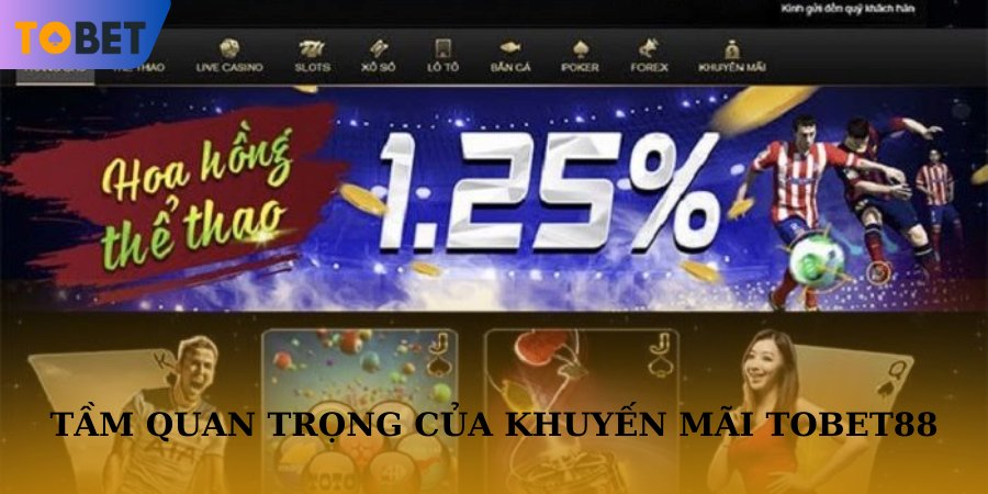 Tầm quan trọng của chính sách khuyến mãi tobet88