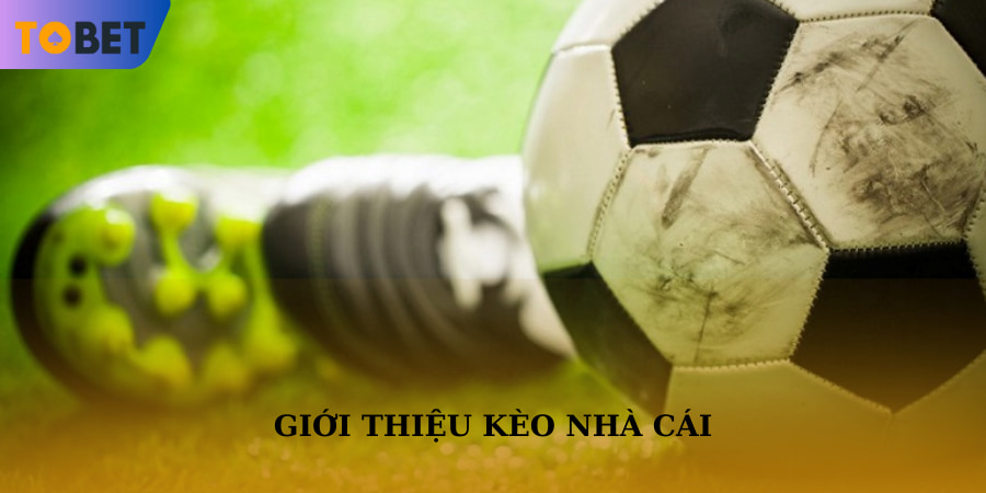 Kèo nhà cái tại TOBET88 được nhiều người chơi quan tâm