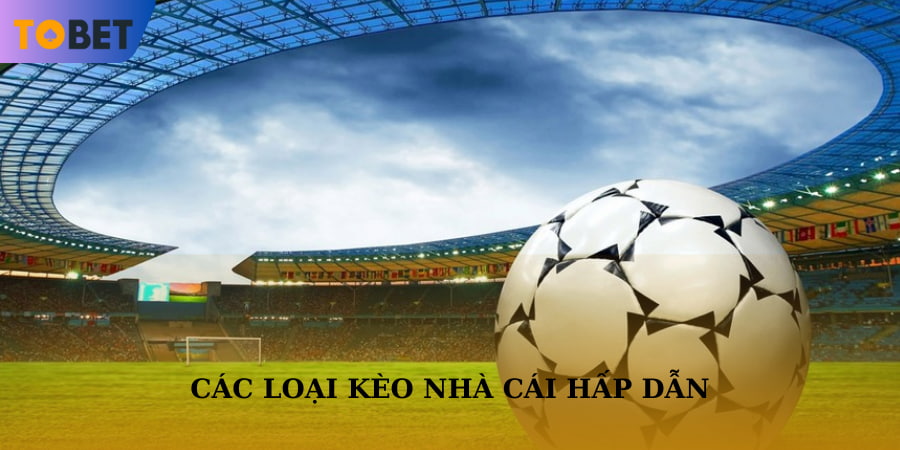 Có nhiều loại kèo khác nhau để người chơi lựa chọn