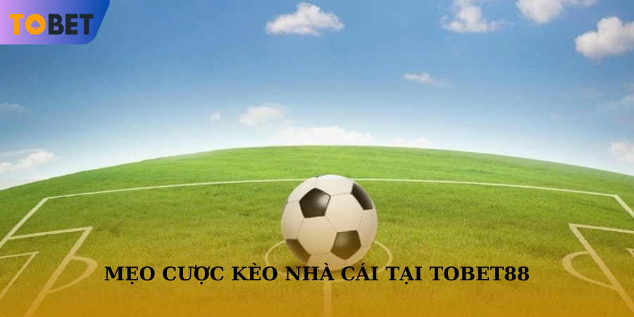 Các mẹo trên có thể giúp bet thủ dự đoán các loại kèo hiệu quả hơn