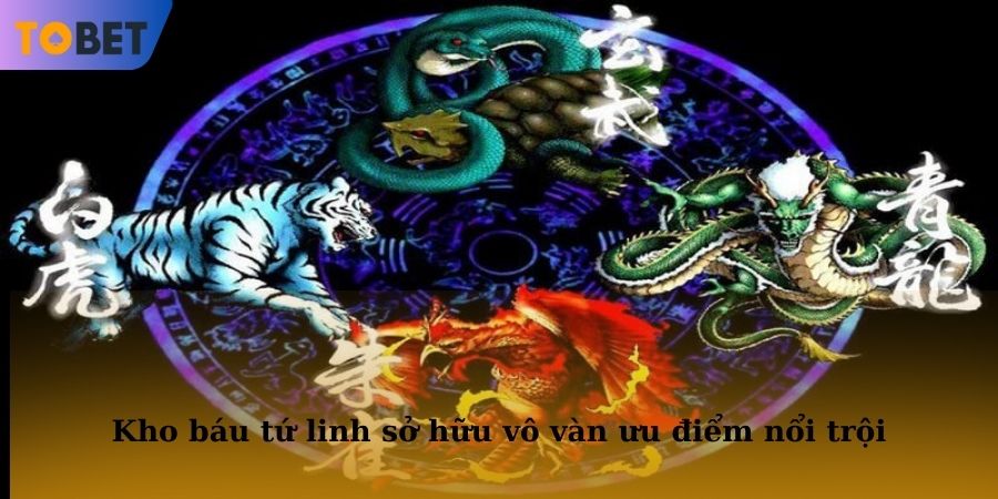 Kho báu tứ linh sở hữu vô vàn ưu điểm nổi trội