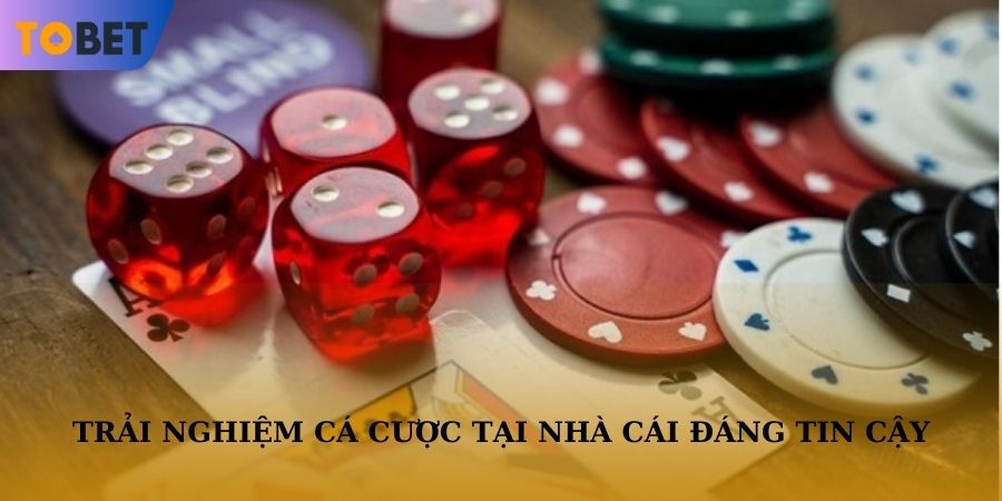 Trải nghiệm cá cược cực đã tại nhà cái đáng tin cậy