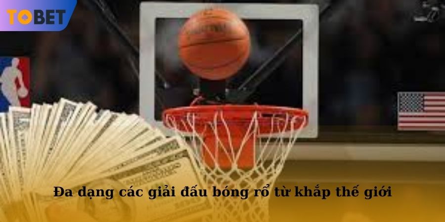 Đa dạng giải đấu bóng rổ nổi tiếng thế giới