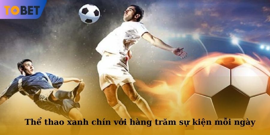 Thể thao xanh chín với hàng trăm sự kiện mỗi ngày